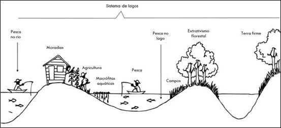 Descrição: Descrição: C:\Users\Neriane\Dropbox\NERIANE\UFOPA1\Tese\Imagens\EcologiaHumanaVarzea.jpg